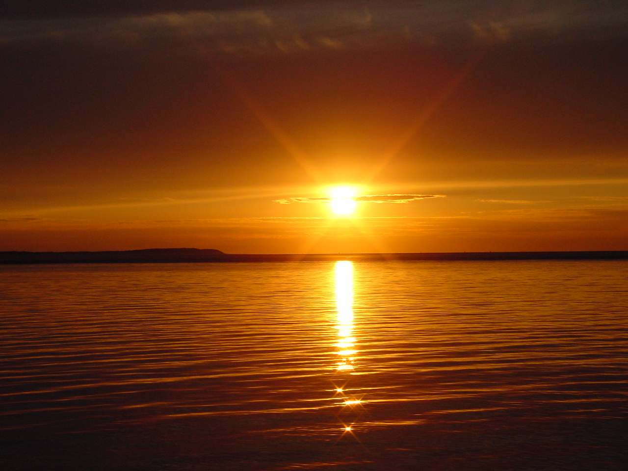 La gaviota que más alto vuela es la que ve más lejos...