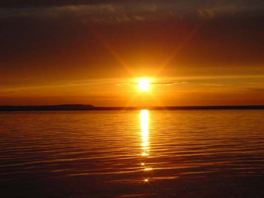 La gaviota que más alto vuela es la que ve más lejos...